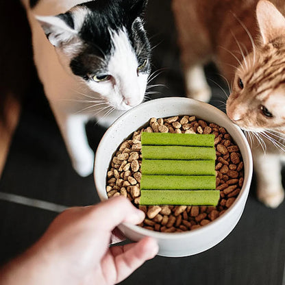 All Natural Cat Grass Chewing Sticks