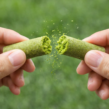 Cat Whiskerer™ All Natural Cat Grass Chewing Sticks