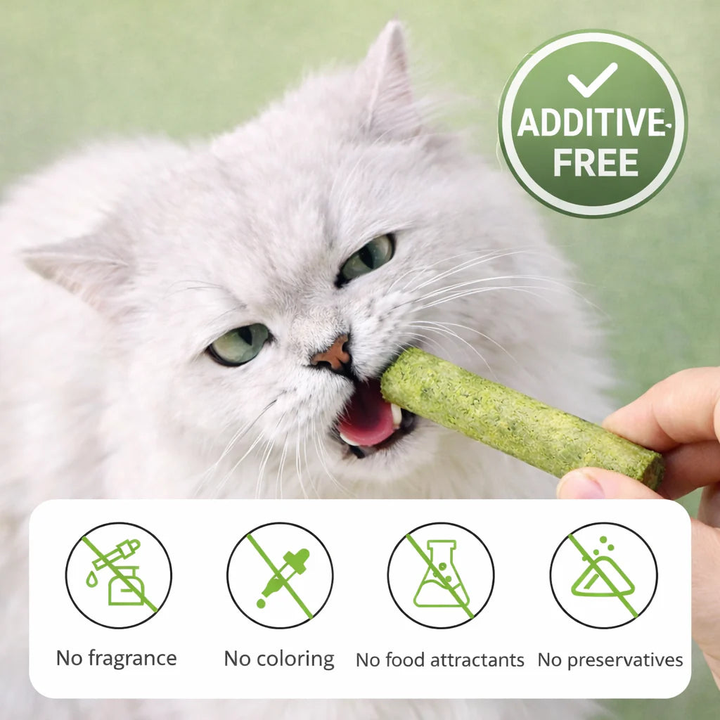 All Natural Cat Grass Chewing Sticks