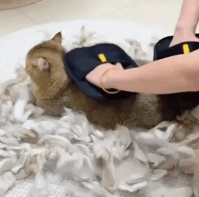 The Original Furhero™ Premium Pet Hair Removal Glove