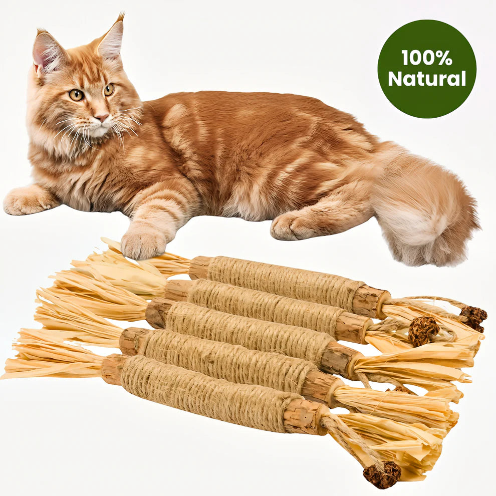 100% Natural Silvervine Dental Sticks