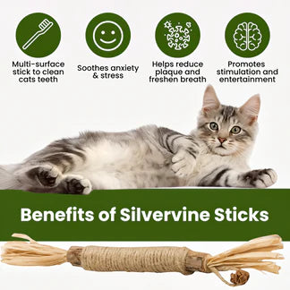 100% Natural Silvervine Dental Sticks