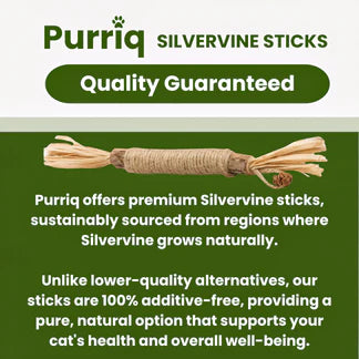 100% Natural Silvervine Dental Sticks