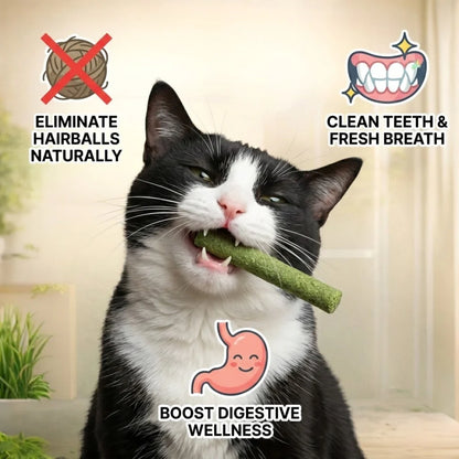 All Natural Cat Grass Chewing Sticks