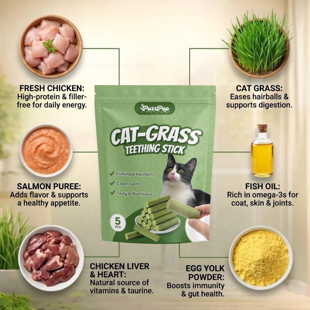 All Natural Cat Grass Chewing Sticks