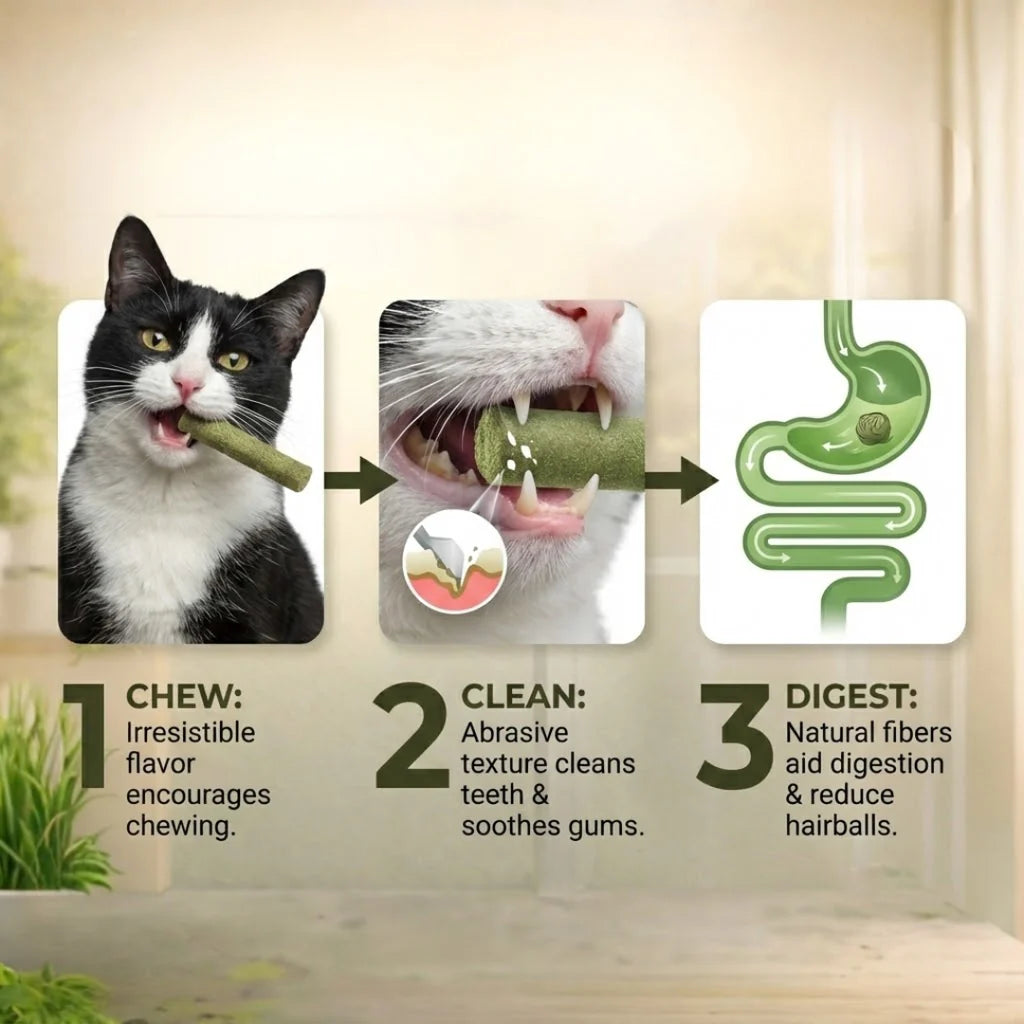 All Natural Cat Grass Chewing Sticks