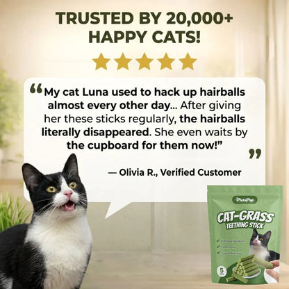 All Natural Cat Grass Chewing Sticks