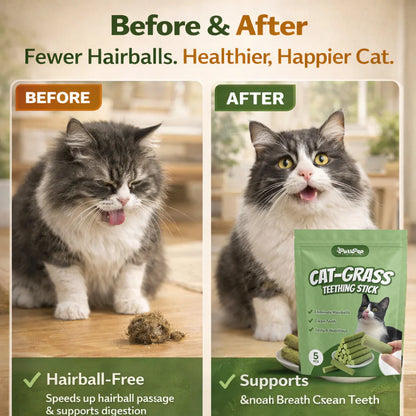 All Natural Cat Grass Chewing Sticks