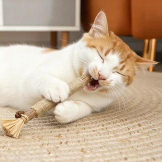 100% Natural Silvervine Dental Sticks